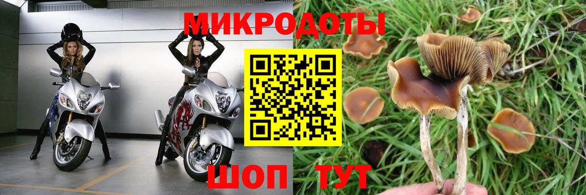 Галлюциногенные грибы мухоморы Комсомольск-на-Амуре