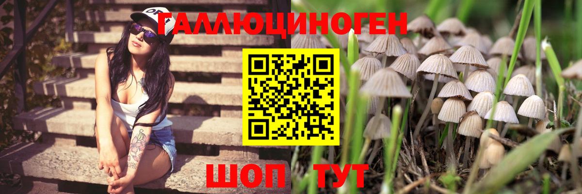 Псилоцибиновые грибы Magic Shrooms  Вход с VPN  Комсомольск-на-Амуре  Псилоцибиновые грибы мицелий 